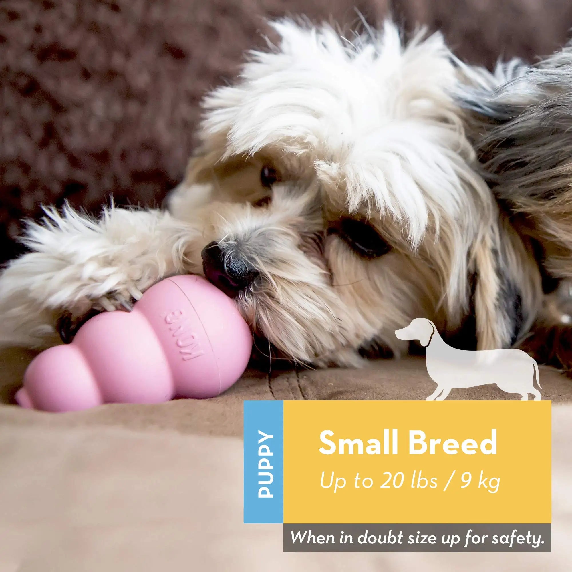 A86720ad7cc84482a82ff5e7179125174i