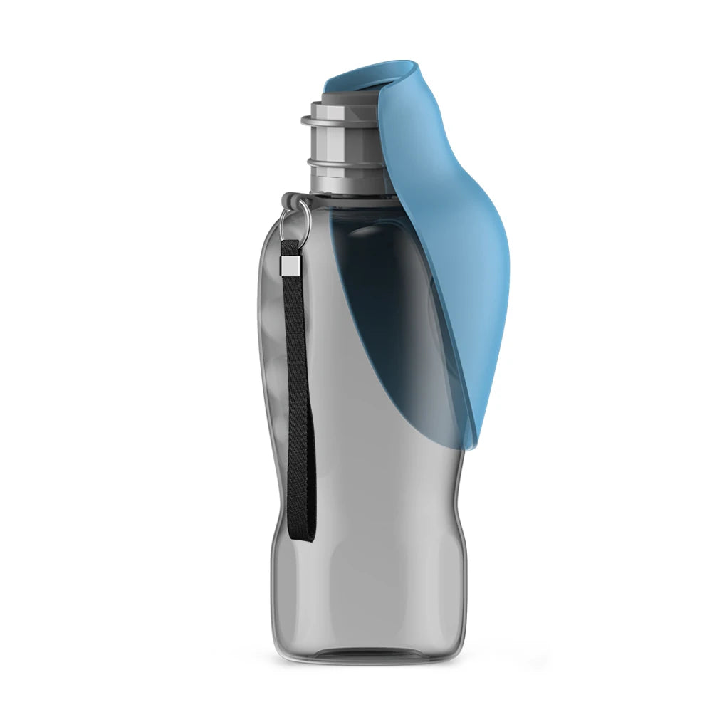 S16b2ae344880424d927211be34287933B