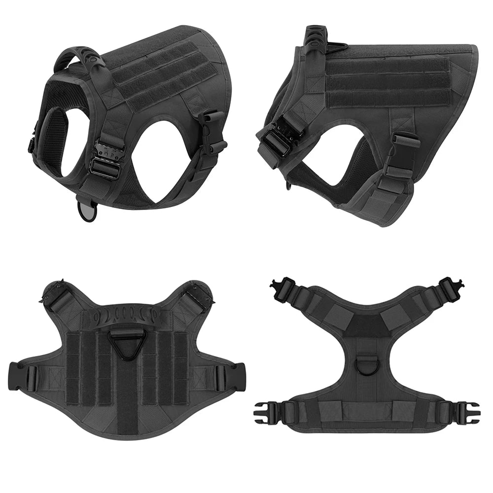 S50553bed40de46c995e61d24f3ede5b0e