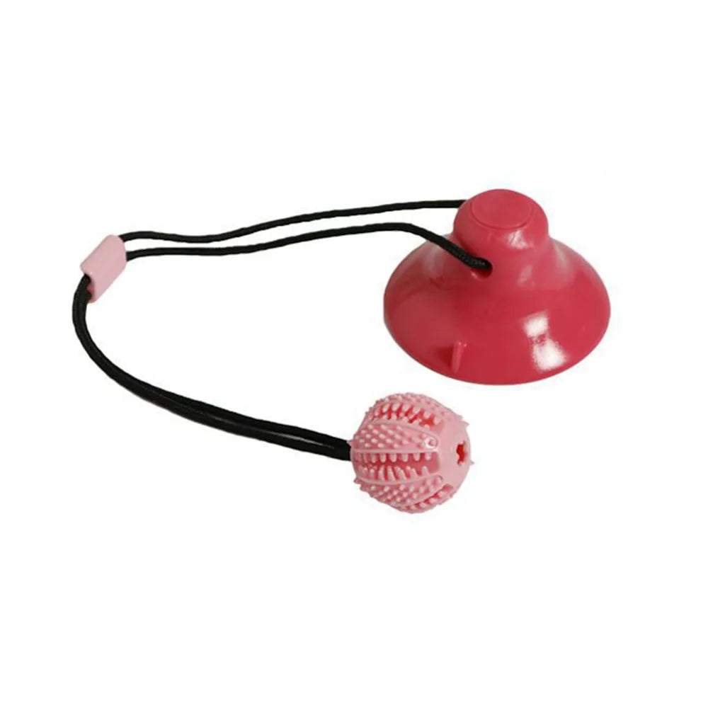 Sc0002113fb1947aca0fe203c5c84a5f2Y