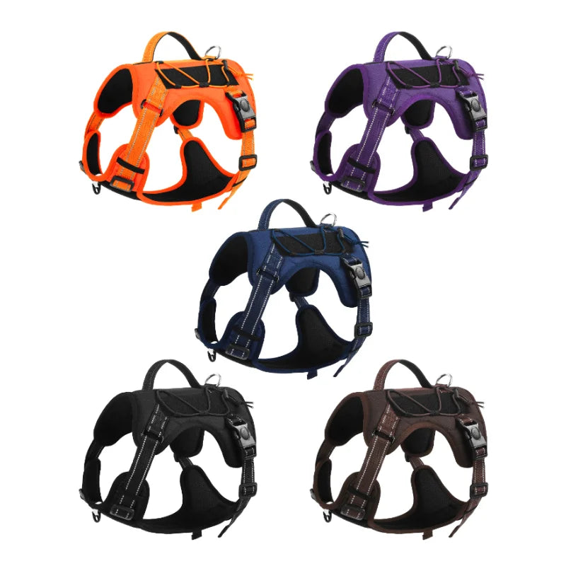 Scf4eab603d574c6a9f32886ed26b5cc53